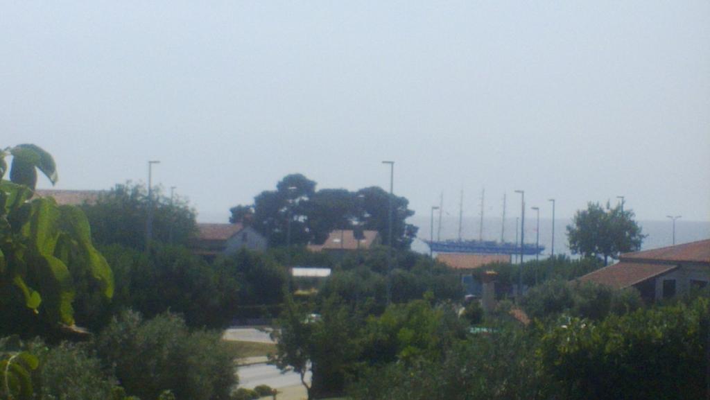 Jole Rovigno