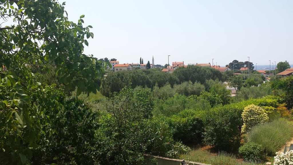 Jole 3* Rovinj
